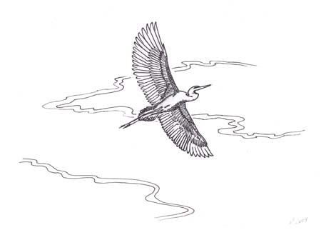 08 - Heron