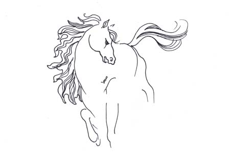 11 - Horse